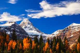 Morning at Mt. Assiniboine-1421